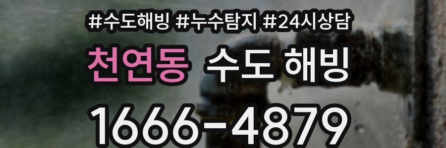 천연동 수도 해빙