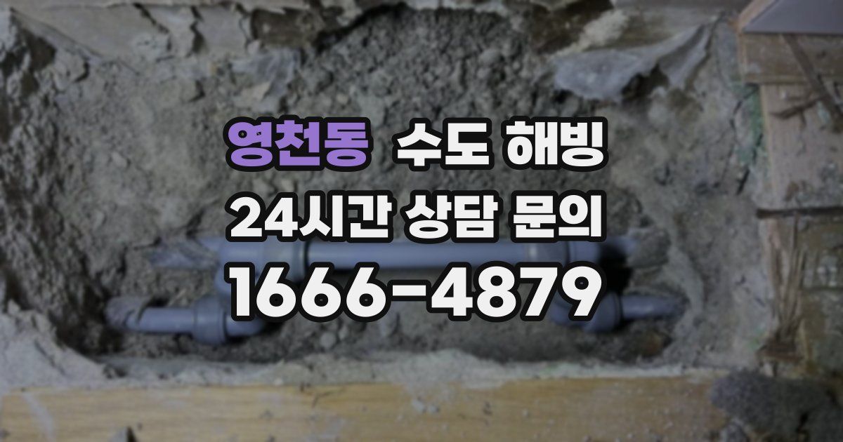 영천동 수도 해빙