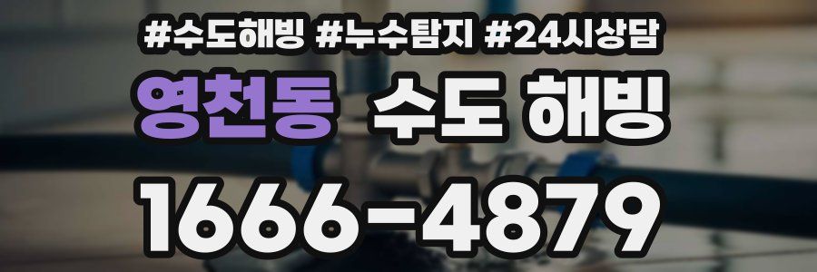 영천동 수도 해빙