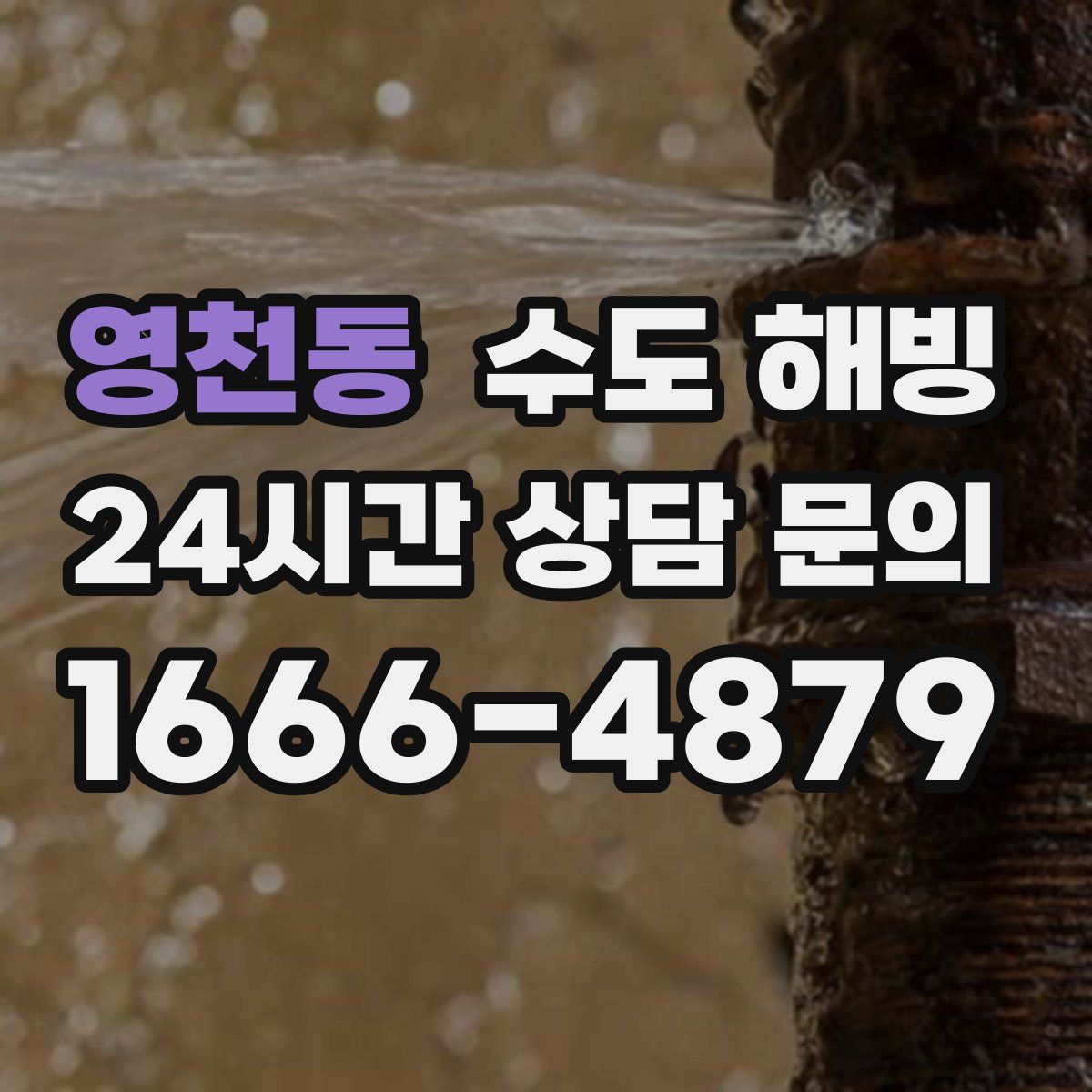 영천동 수도 해빙