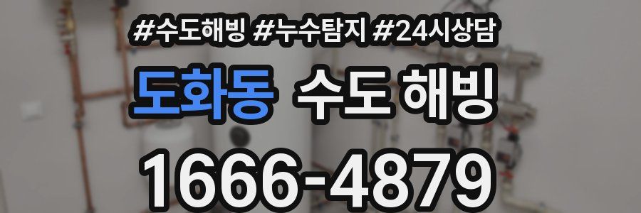 도화동 수도 해빙