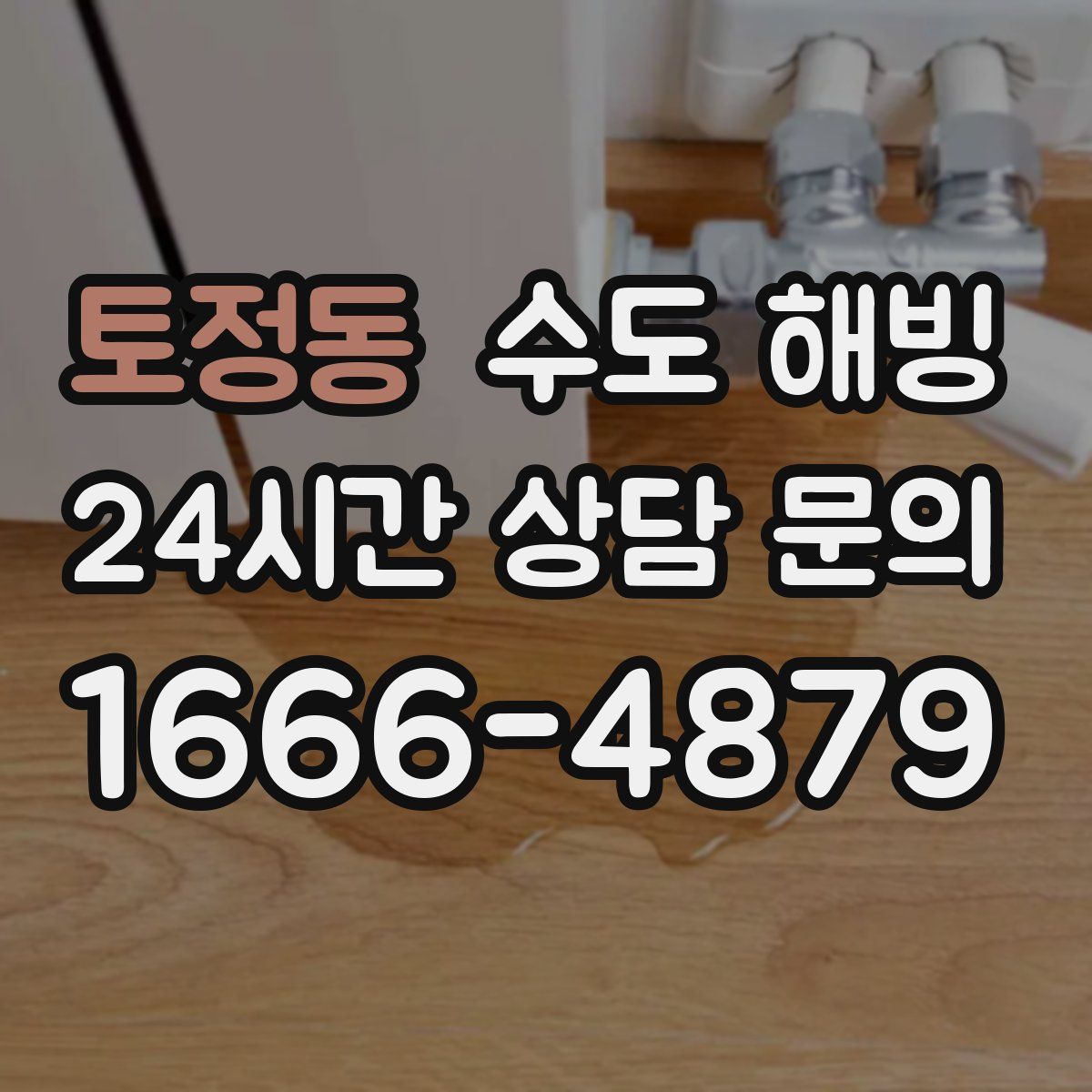 토정동 수도 해빙