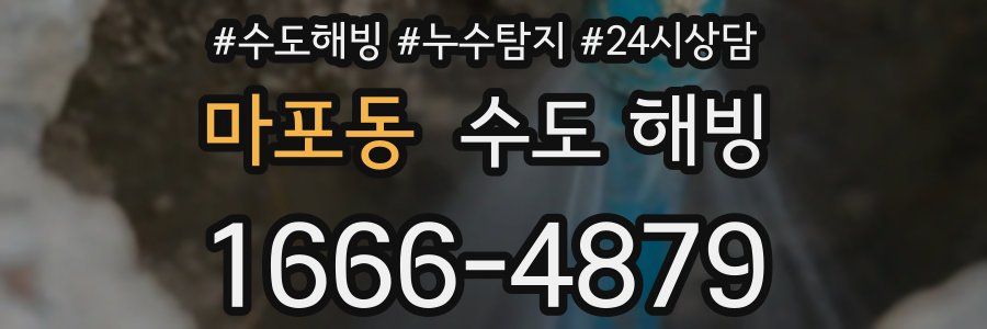 마포동 수도 해빙