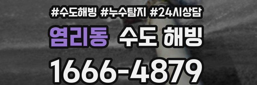 염리동 수도 해빙