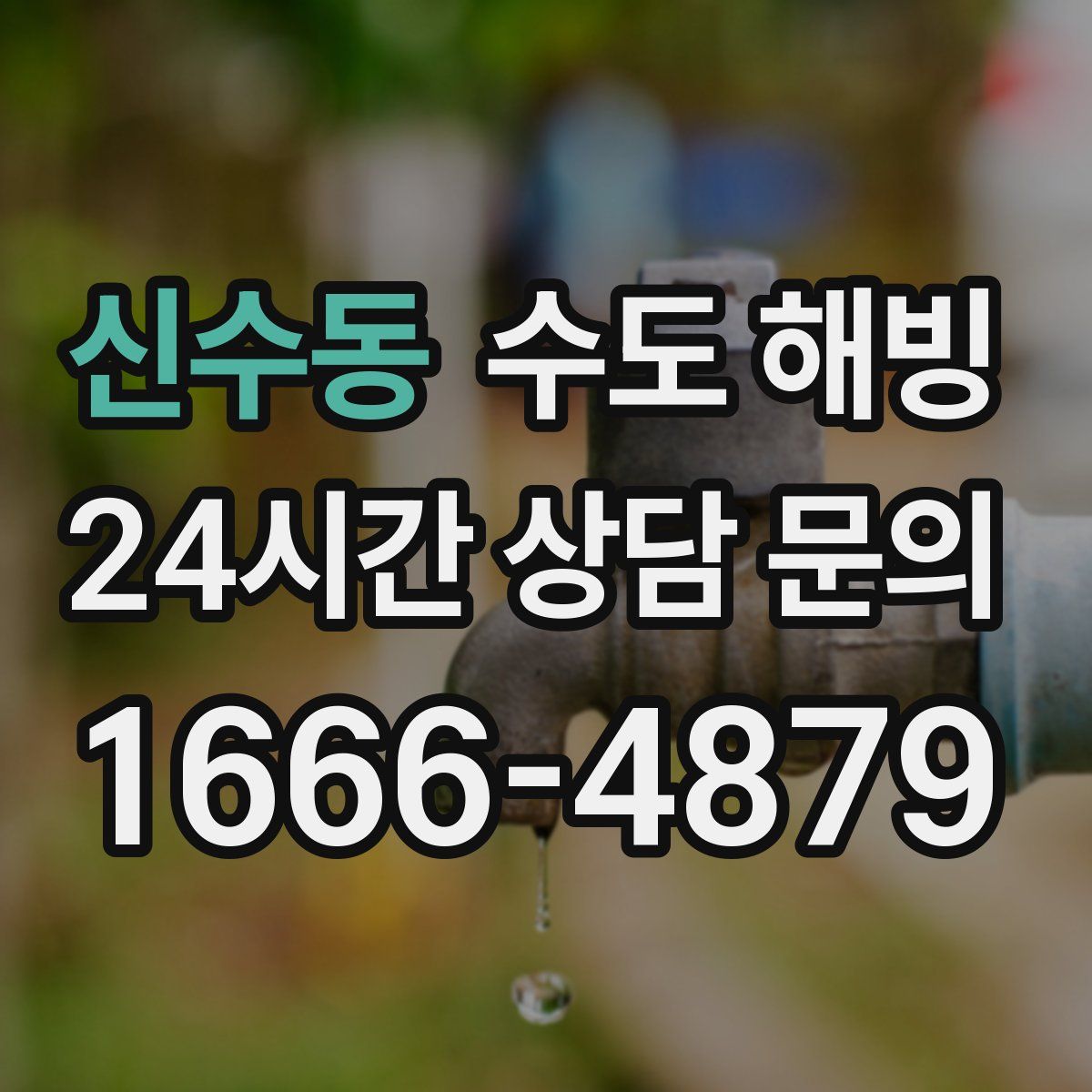 신수동 수도 해빙