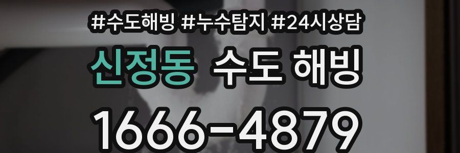 신정동 수도 해빙