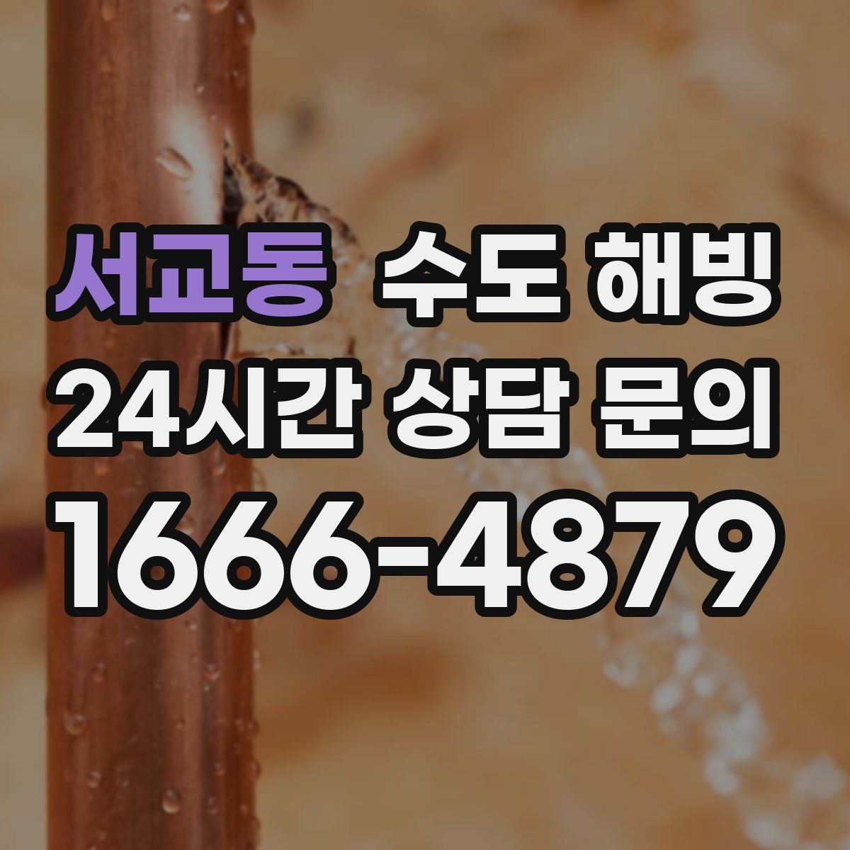 서교동 수도 해빙