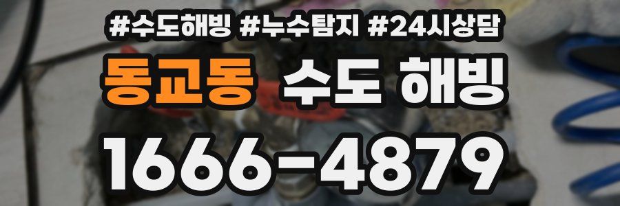 동교동 수도 해빙