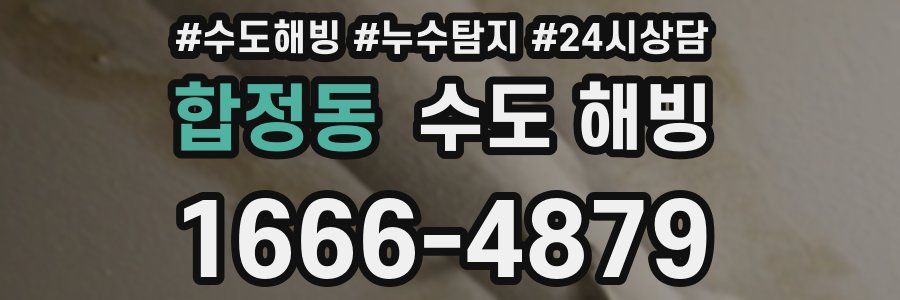 합정동 수도 해빙