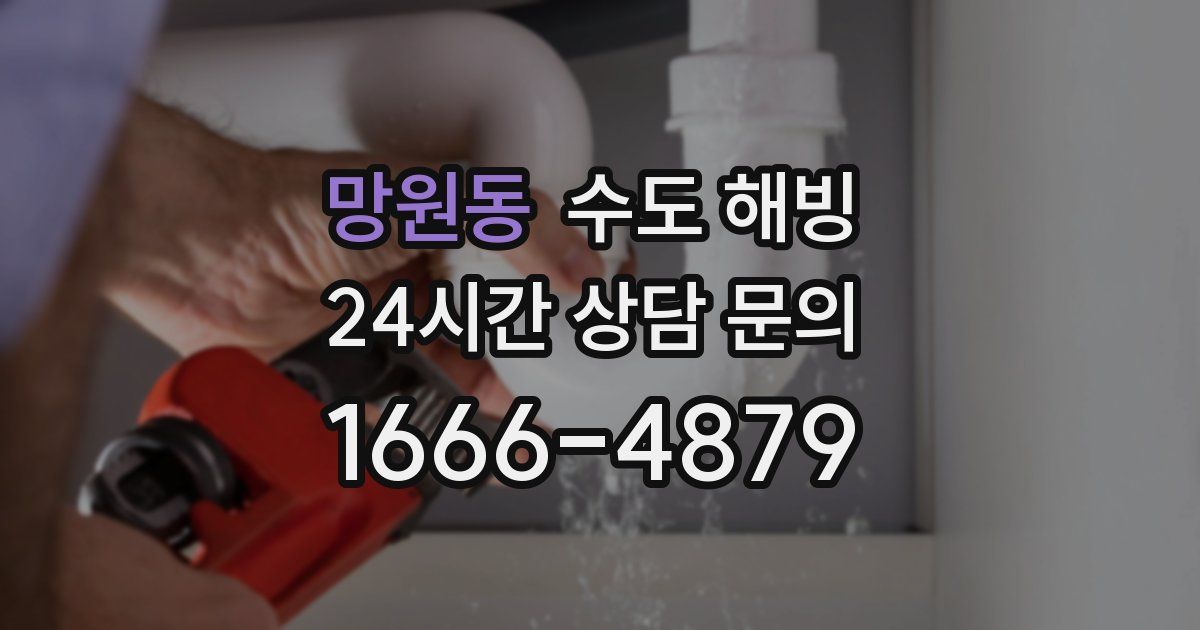 망원동 수도 해빙