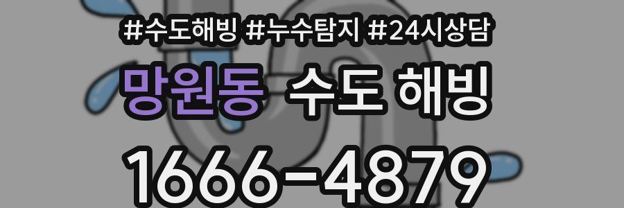 망원동 수도 해빙