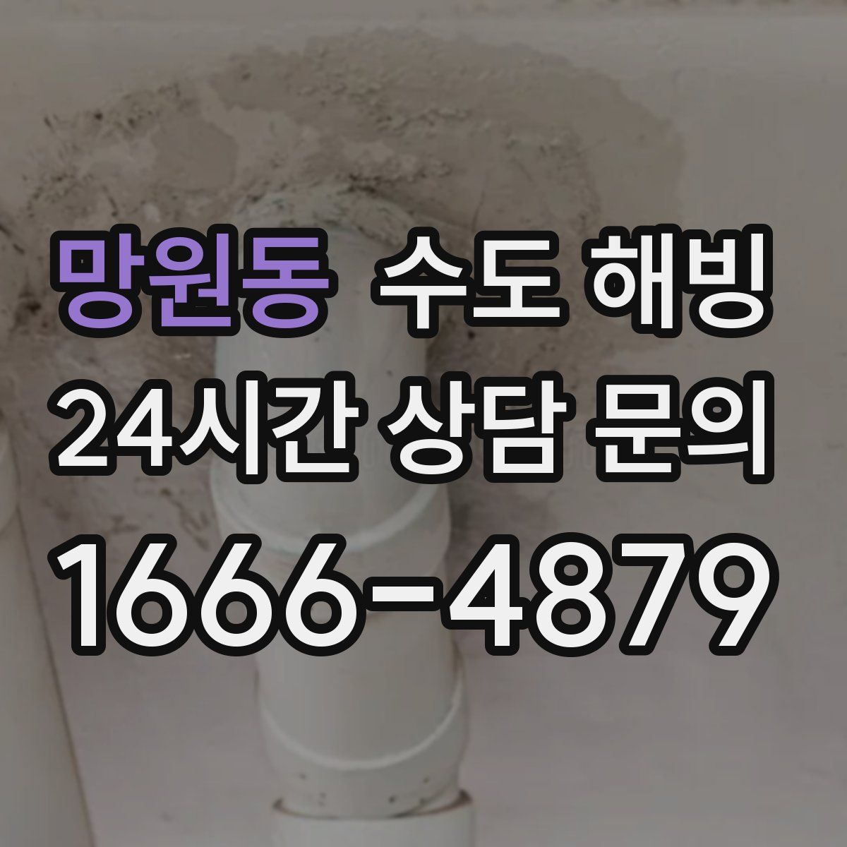 망원동 수도 해빙