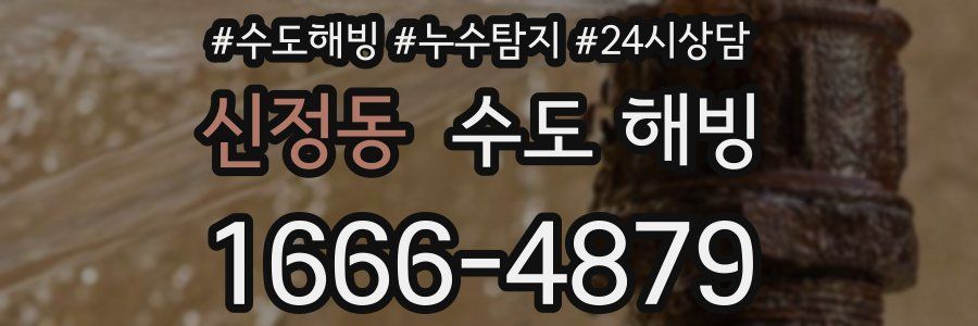 신정동 수도 해빙