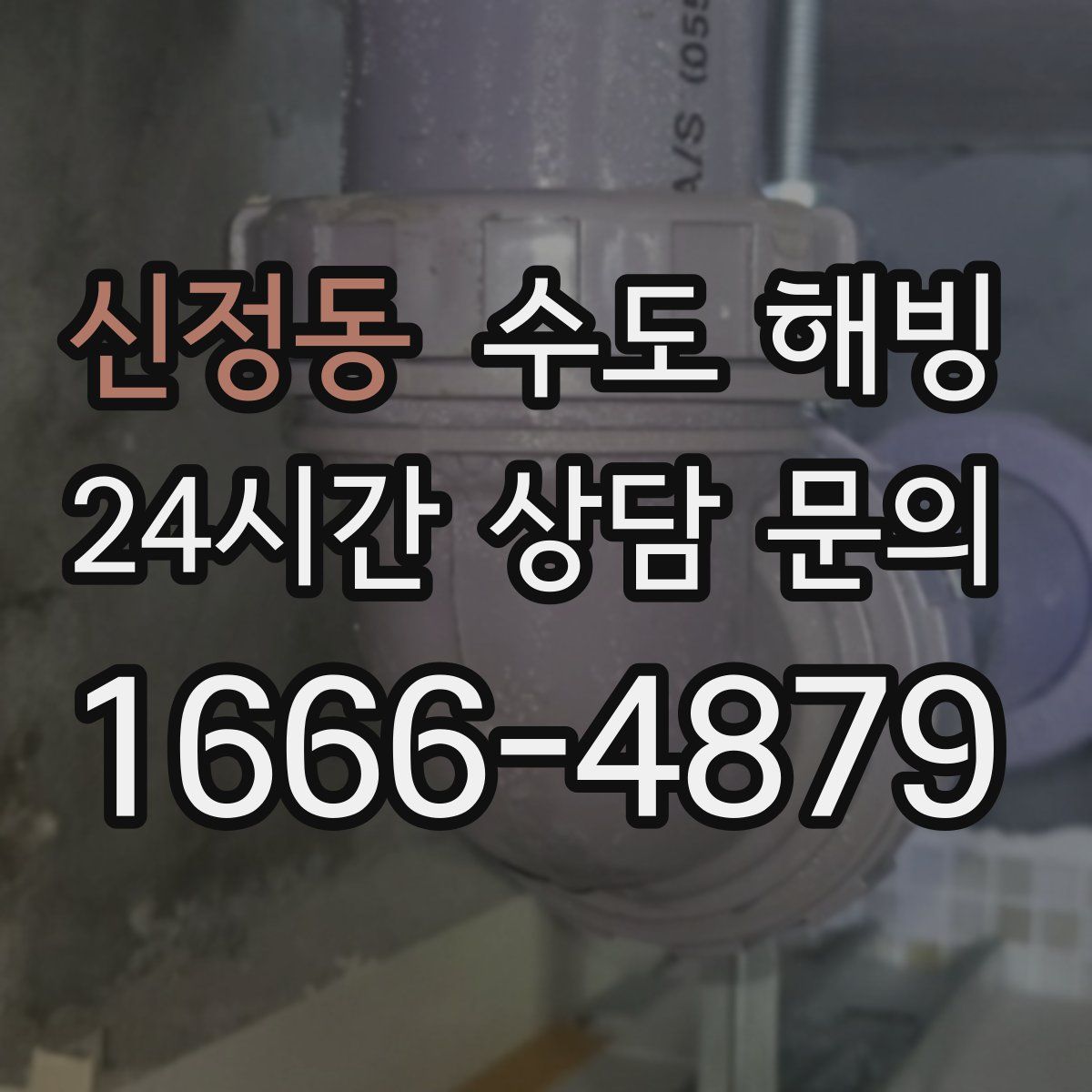 신정동 수도 해빙