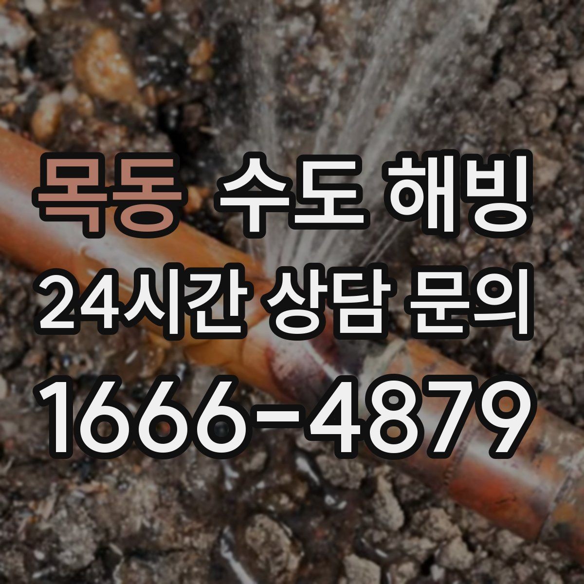 목동 수도 해빙 두 곳 이상 동시에 얼었을 때 확인 순서