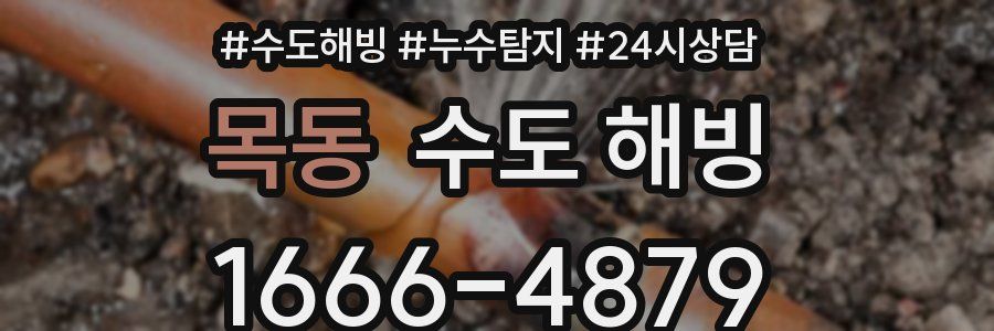 목동 수도 해빙