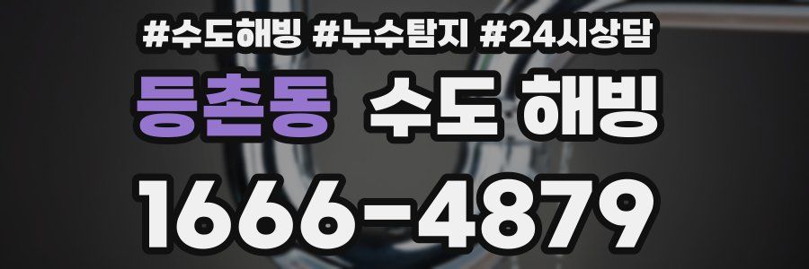 등촌동 수도 해빙