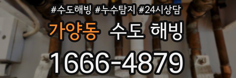 가양동 수도 해빙