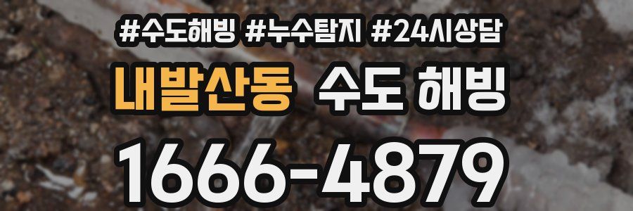 내발산동 수도 해빙