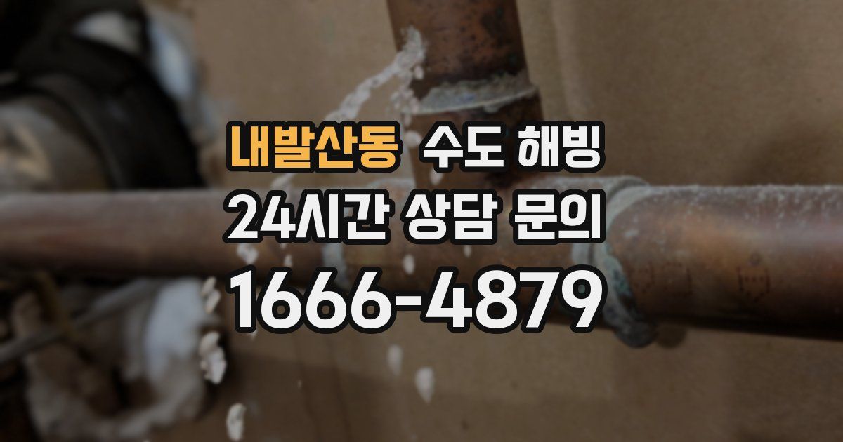 내발산동 수도 해빙