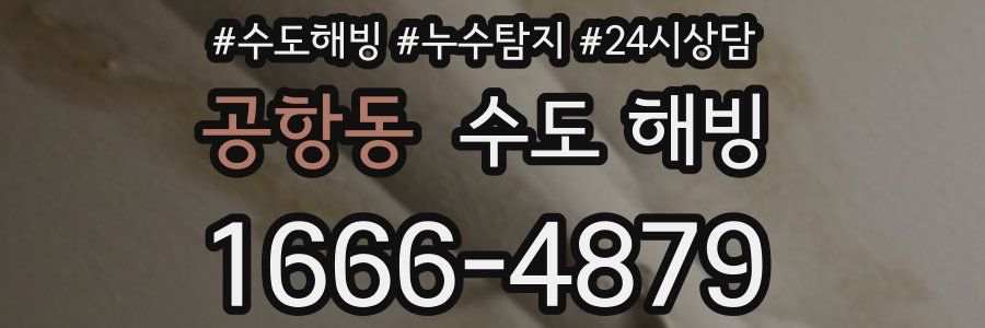 공항동 수도 해빙