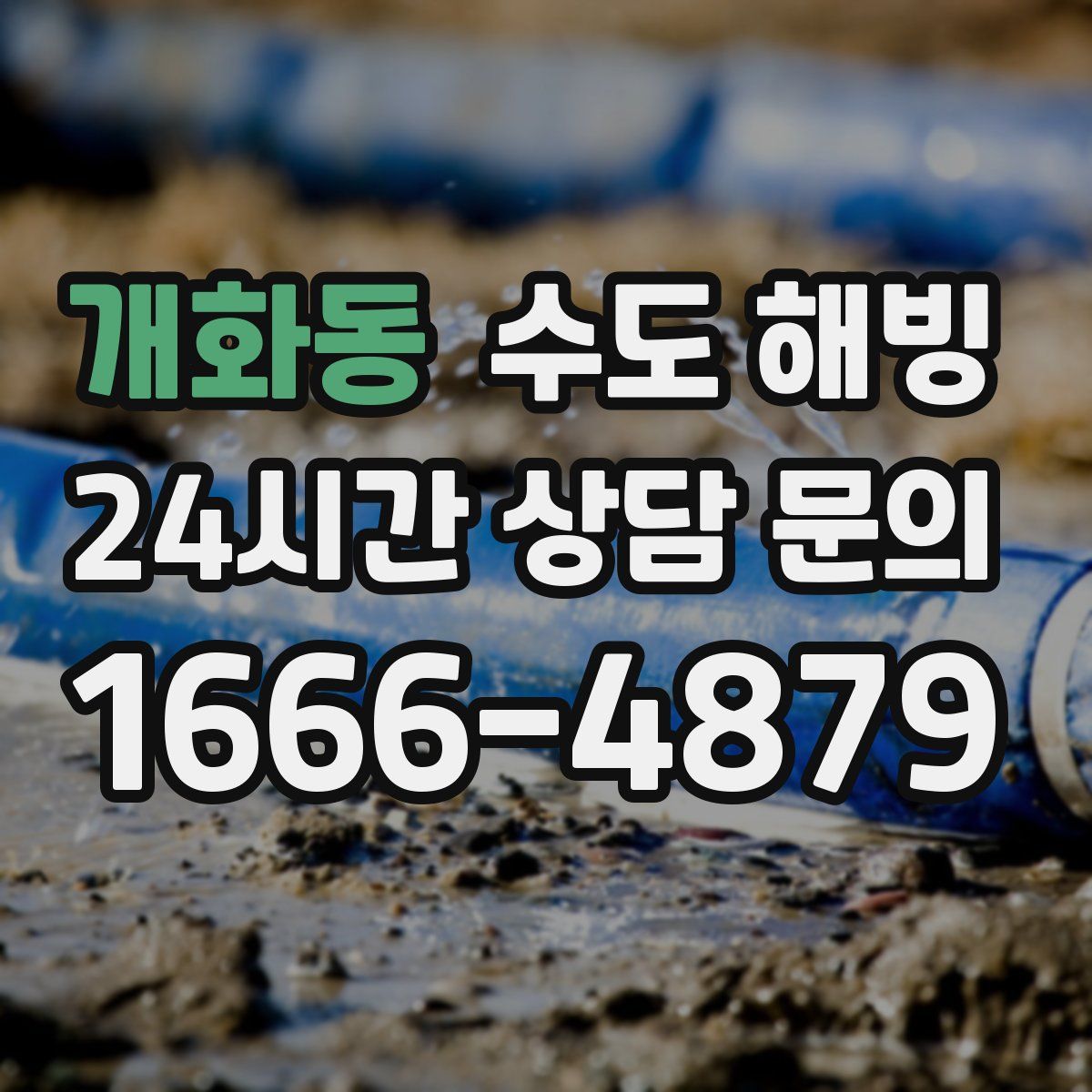 개화동 수도 해빙