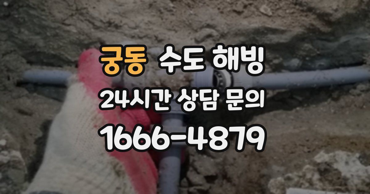 궁동 수도 해빙