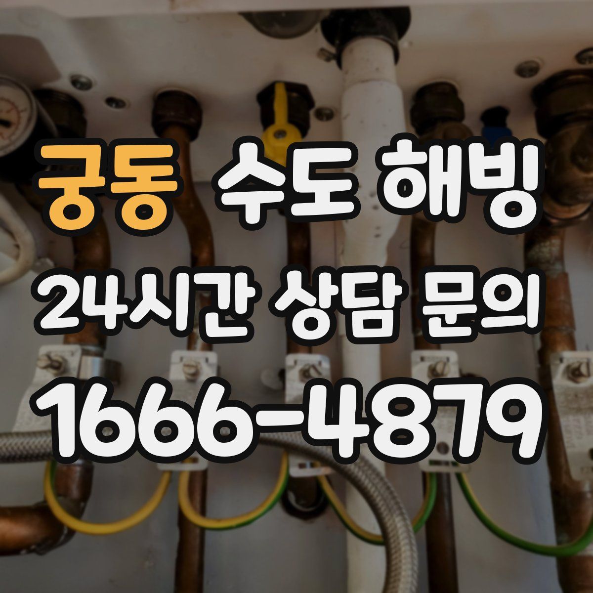 궁동 수도 해빙