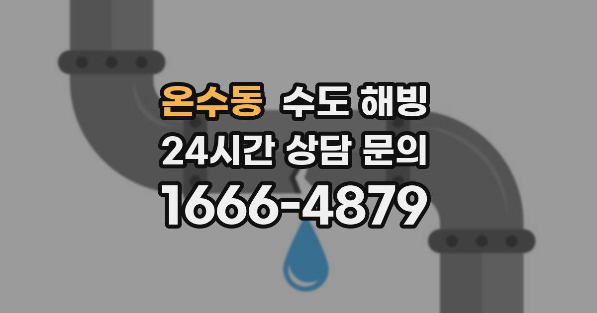 온수동 수도 해빙