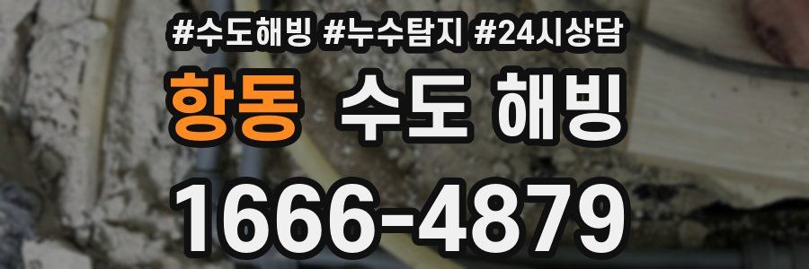 항동 수도 해빙