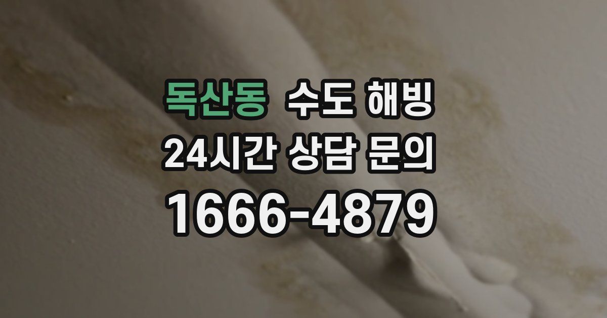 독산동 수도 해빙