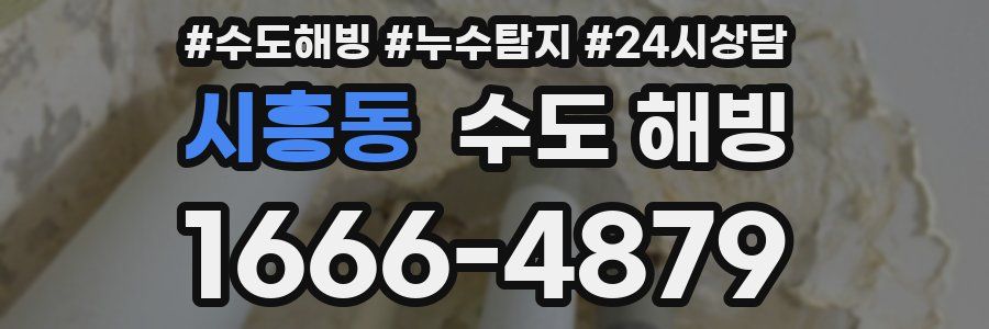 시흥동 수도 해빙