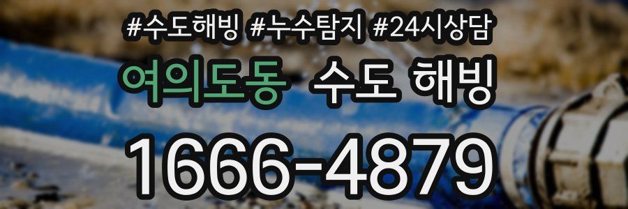 여의도동 수도 해빙