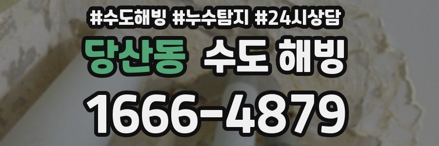 당산동 수도 해빙