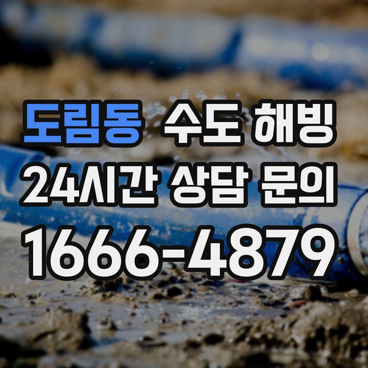 도림동 수도 해빙