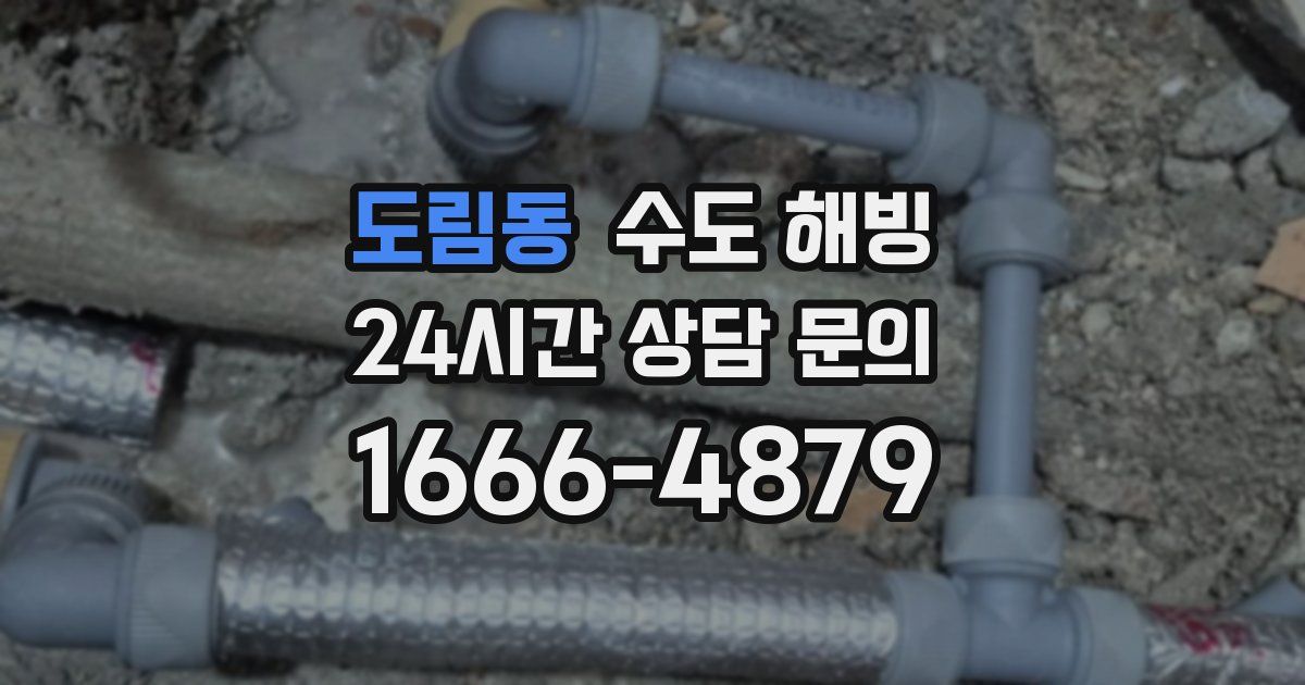 도림동 수도 해빙