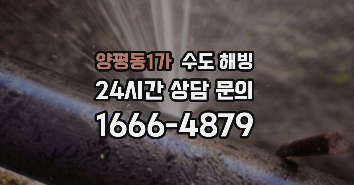 양평동1가 수도 해빙