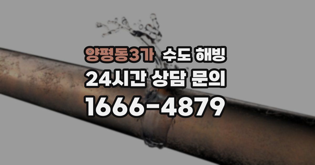 양평동3가 수도 해빙