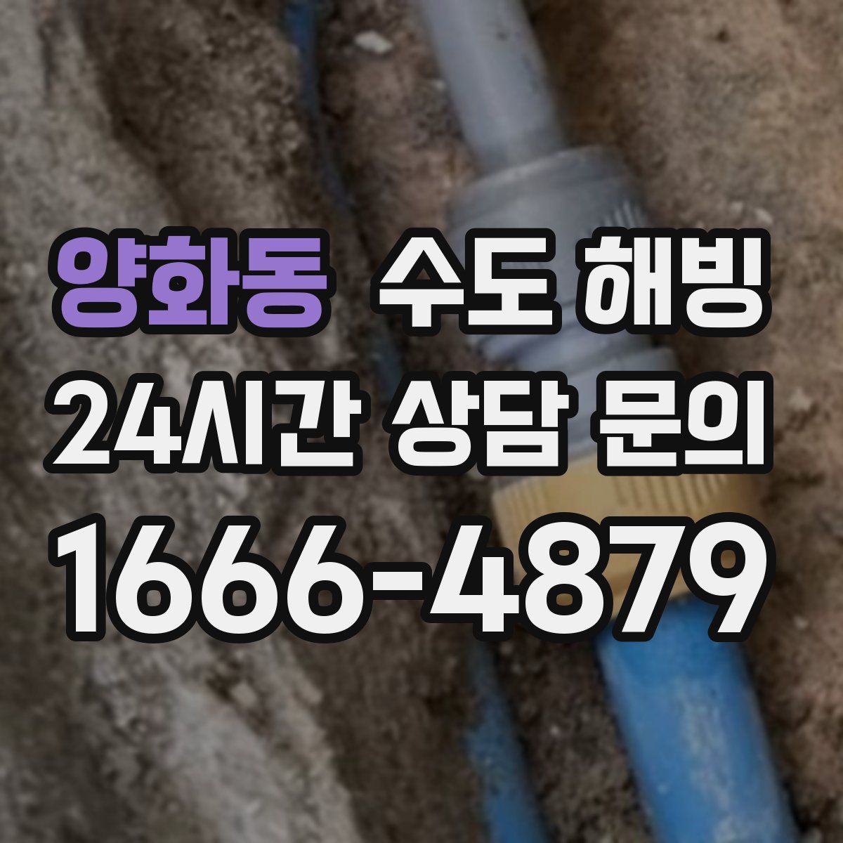 양화동 수도 해빙