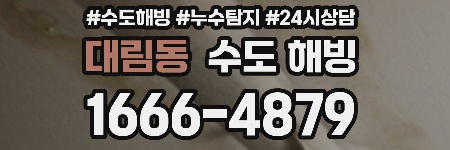 대림동 수도 해빙