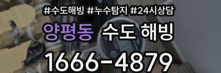 양평동 수도 해빙