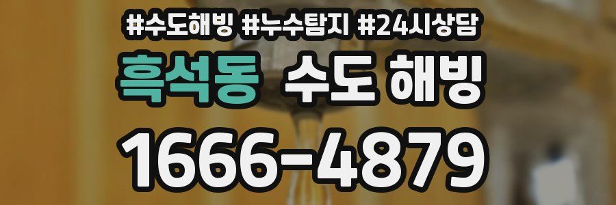 흑석동 수도 해빙