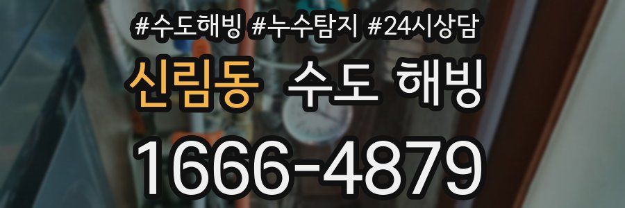 신림동 수도 해빙