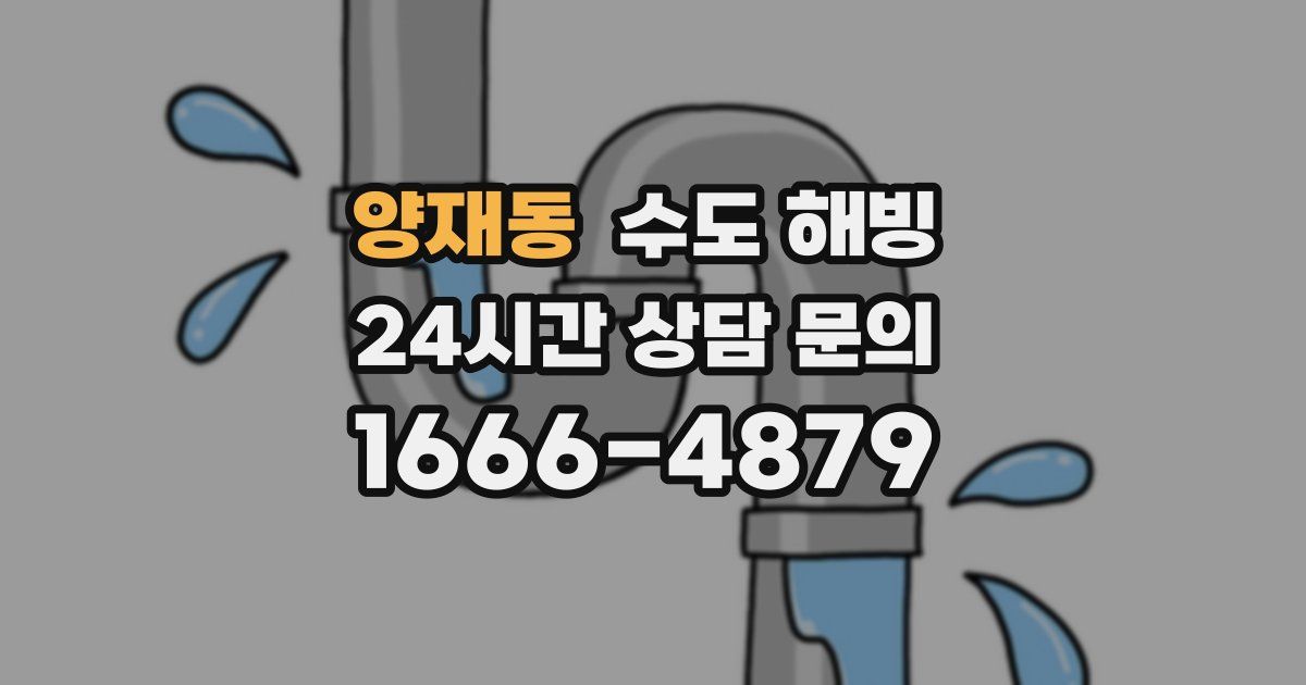 양재동 수도 해빙