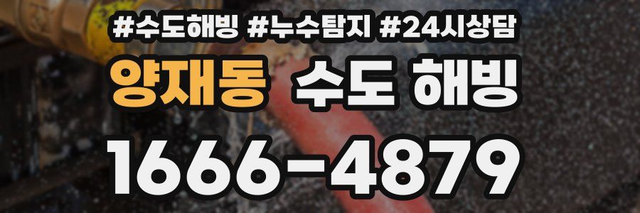 양재동 수도 해빙