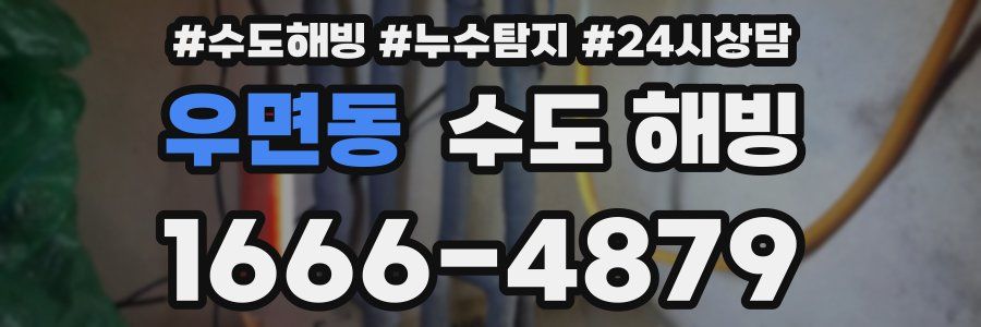 우면동 수도 해빙