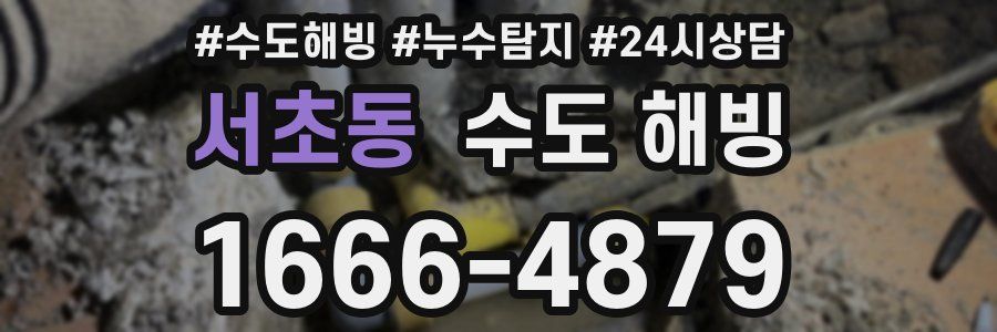서초동 수도 해빙