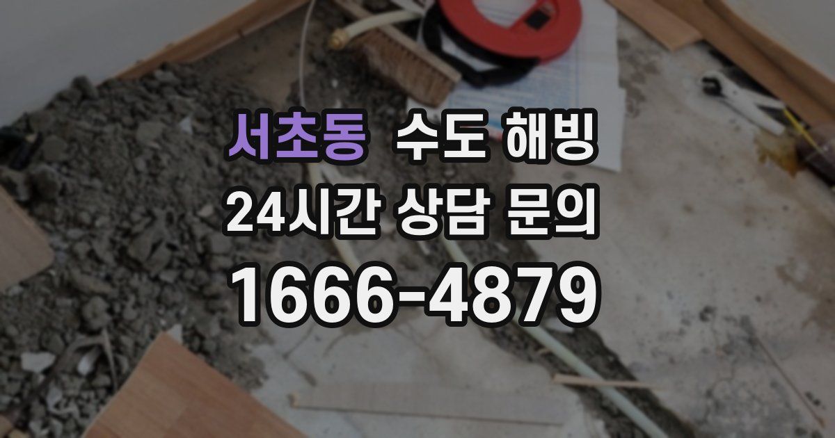 서초동 수도 해빙