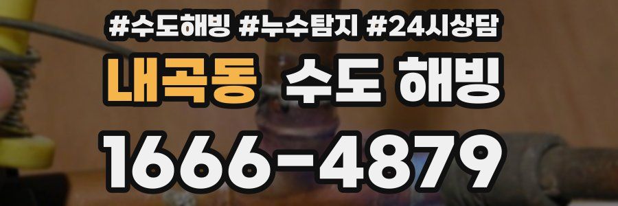 내곡동 수도 해빙