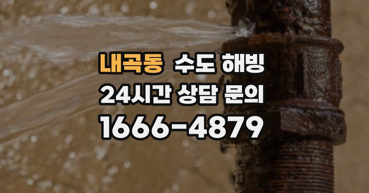 내곡동 수도 해빙